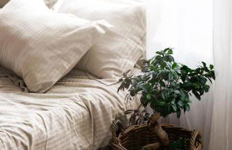 Dimore del Capo Apartments with Pool near the Sea - Photo 15