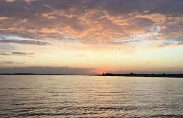 Zauberhaftes englisches Cottage am Gutshaus - Foto 27