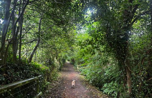 Smugglers Cottage Barn Conversion AONB with Pool & Jacuzzi - Foto 24