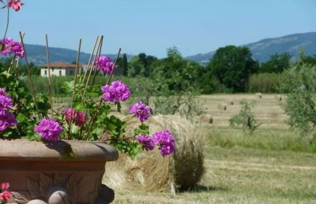 Agriturismo la Torricella - Foto 31