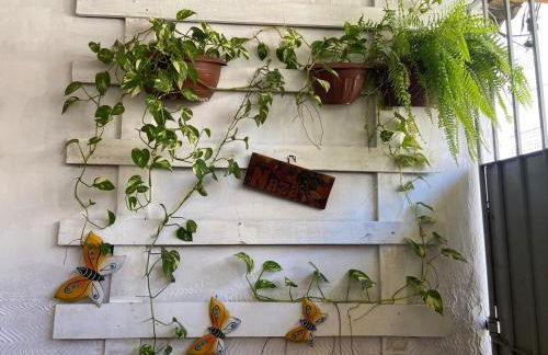 Imóvel Próximo ao Aeroporto e ao Hangar - 02 - Foto 11