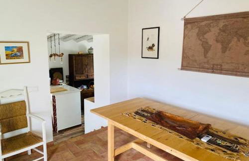 Casa na horta, planície alentejana - Foto 13