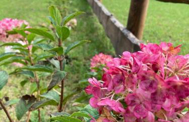 Ostoja Bukowo, Domek 9,1 'Stilia' - Foto 14