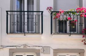 Peixe Agulha - Foto 14