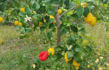 Agriturismo Ca du Bega 2 - Foto 22