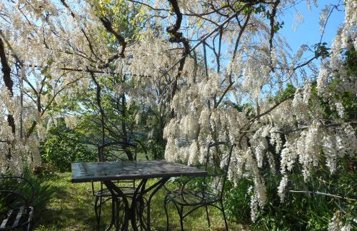 Agriturismo Cascina Serra - Foto 14
