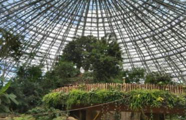 le gîte le CAMÉLIA - Foto 26