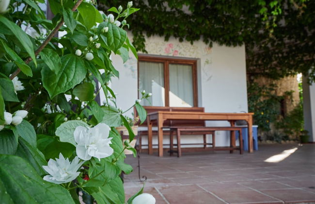 Algaba de Ronda - Foto 80