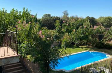 Higueras y Olivos - Foto 16