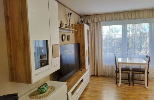 Apartment Hercules - Foto 20