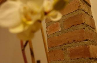 Hirt's Brau-& Gasthof - Foto 34