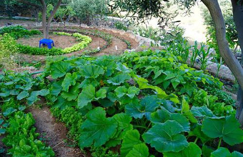 Good Life Greece Eco Villas - Foto 36