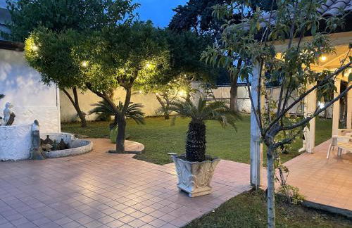 Villa Avvocato Catapano - Photo 46