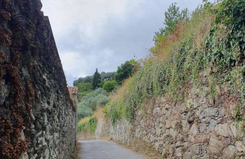 Cà Teodoi (citra 010025-LT-4173) - Photo 21