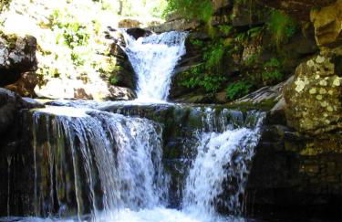 El Patio de la Morera - Foto 51