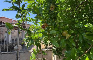 Juízo Country Houses - Foto 13