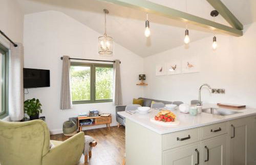 Birch Banc Retreats - Bedw Cabin - Foto 3