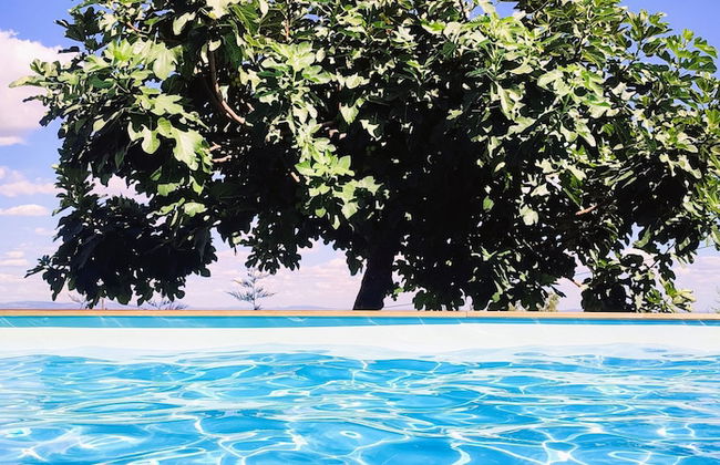 Lagarto Pintado Casa n'Aldeia - Foto 64