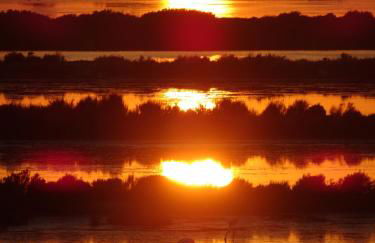 Le Club des Cigales - Foto 70