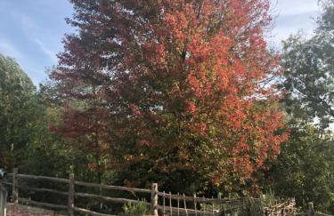Glastonbury tranquility - Foto 16