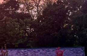 Briary Cottages at Iletts Farm - Photo 14