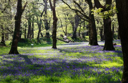 Bramley Cottage - Foto 16