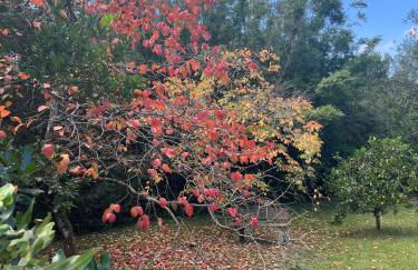 Chácara das Flores - Foto 55