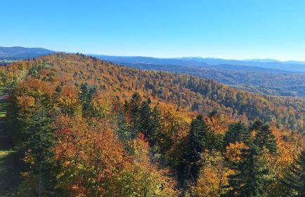 Bieszczadzka Panorama - Foto 27