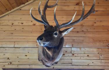 Elk Heights - Foto 6