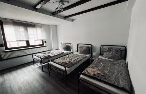 Pension mitten im Pfälzerwald - Foto 15