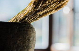 Μάραθος - Foto 12