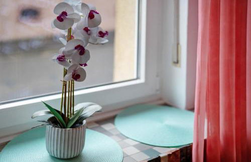 Fewo unter der Kirche - Foto 16