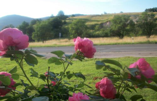 House Veljko - Foto 12