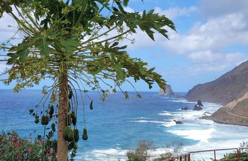 Anaga Manolo Natural House - Foto 42