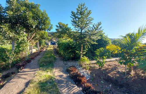 Teresópolis Hostel - Photo 5