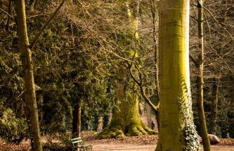 Apartment am Schlosspark - Foto 26