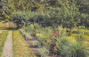 COZY COTTAGE IN THE WOODS - Przytulny domek w lesie - Photo 12