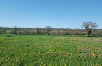 Le Champêtre - Foto 10
