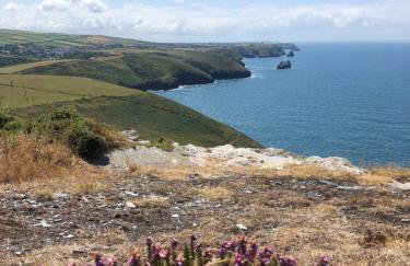 Little Valley View - Foto 9