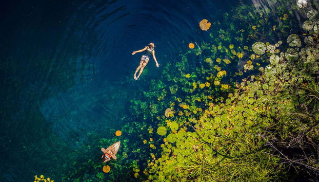 Xenotes Day Trip - Photo 3