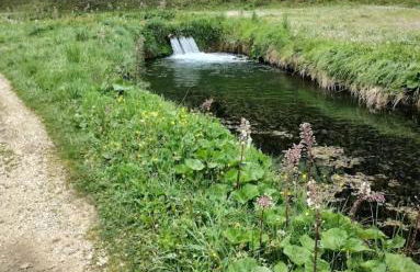 House la Ginestra - Foto 17