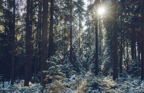 Blickinsfreie - Photo 10