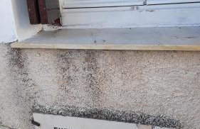 Neoclassical manor house - Foto 41