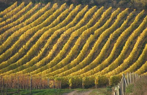 Ferienhaus Am Schildberg - Foto 27