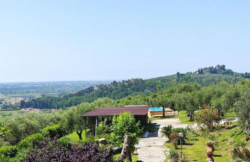 la tana del geco - Foto 53