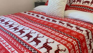 Appartamento sul mare Nettuno - Foto 4