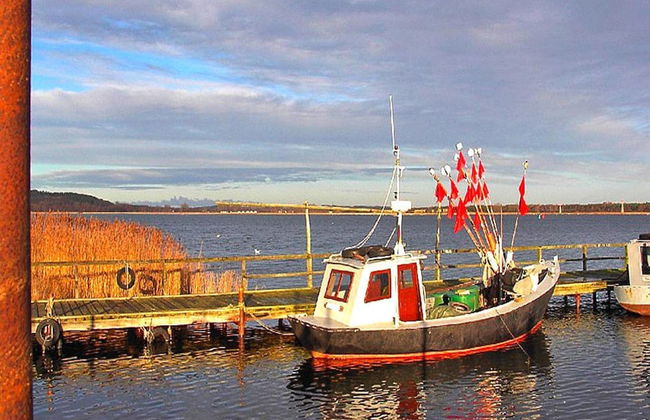 Ferienwohnung, Lohme - Foto 11