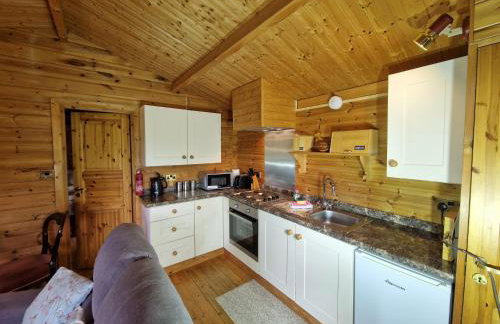 Polgwedhen Lodge - Photo 10