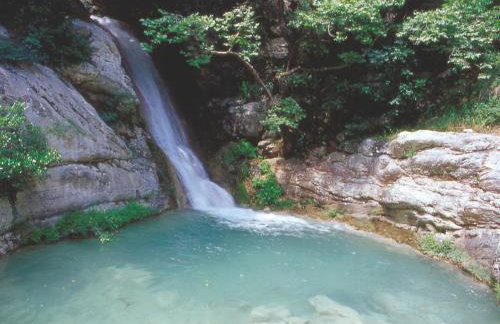 Terpsichore Apartments - Foto 36