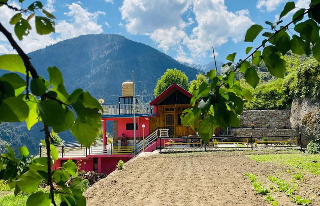 Snow and Field View Homestay - Foto 25